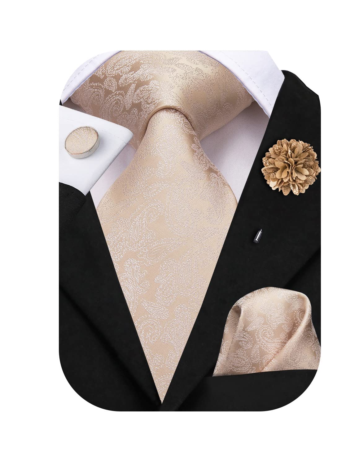 Hi-Tie Silk Champagne Ties for Men Neckties with Pocket Square Cufflinks Lapel Pin for Wedding Business Party